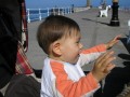 P9090013 * 2048 x 1536 * (610KB)